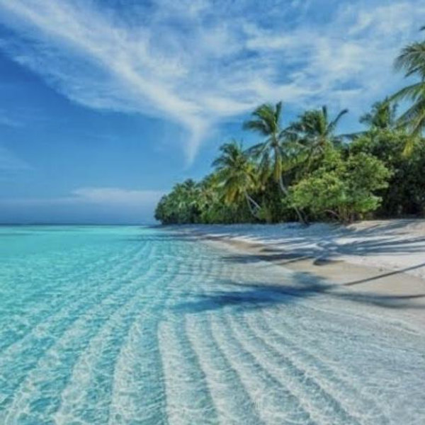 Our Maldives Honeymoon Fund