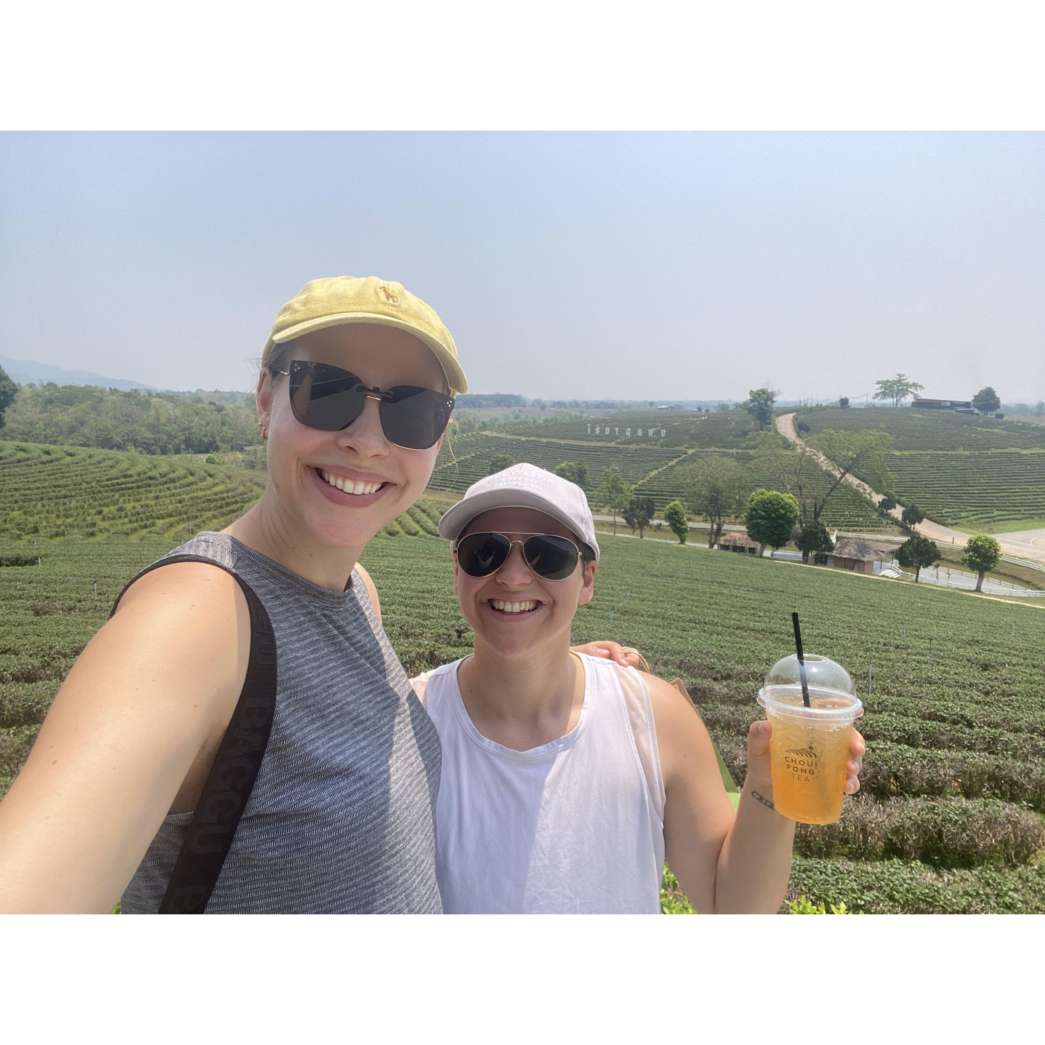 After visiting Choui Fong Tea Farm, Lex changed her retirement plans to being a tea farmer.