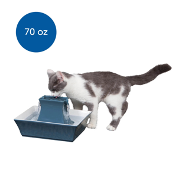 PETSAFE Drinkwell Pagoda Ceramic Dog & Cat Fountain, Himalayan Blue, 70-oz - Chewy.com