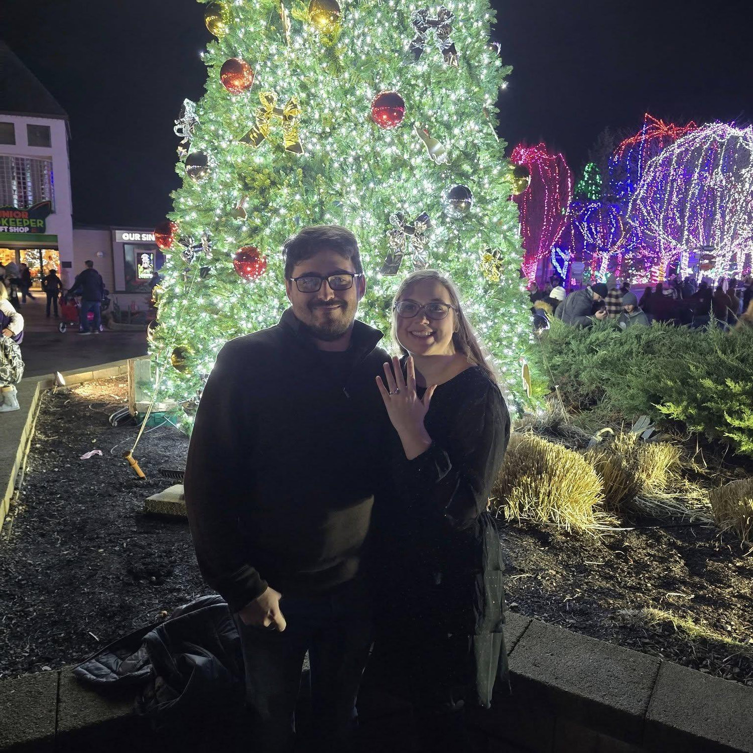 Proposal at the Christmas Lights