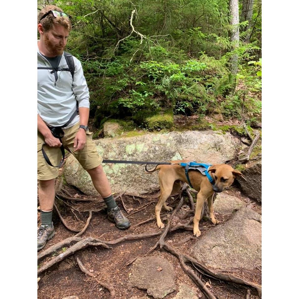 In the spring of 2019, Samantha and Liam adopted their newest fur baby, Moosilauke or Moose for short. He is their adventure pup, who was even present for the proposal!