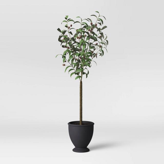 Faux Olive Tree in Pot Black/Green - Threshold™
