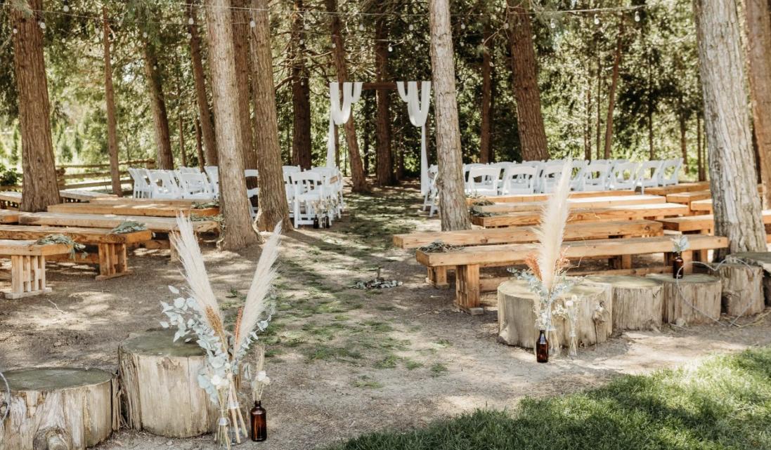 The Wedding Website of Mikayla Hollrah and Darren Cradduck