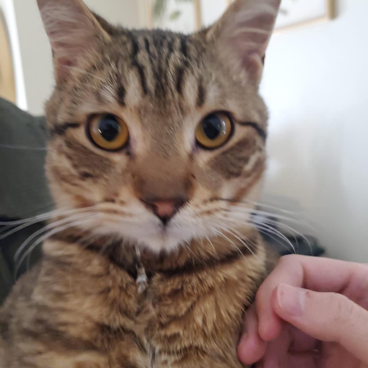 Meeting Chai!