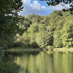 Ferdinand State Forest