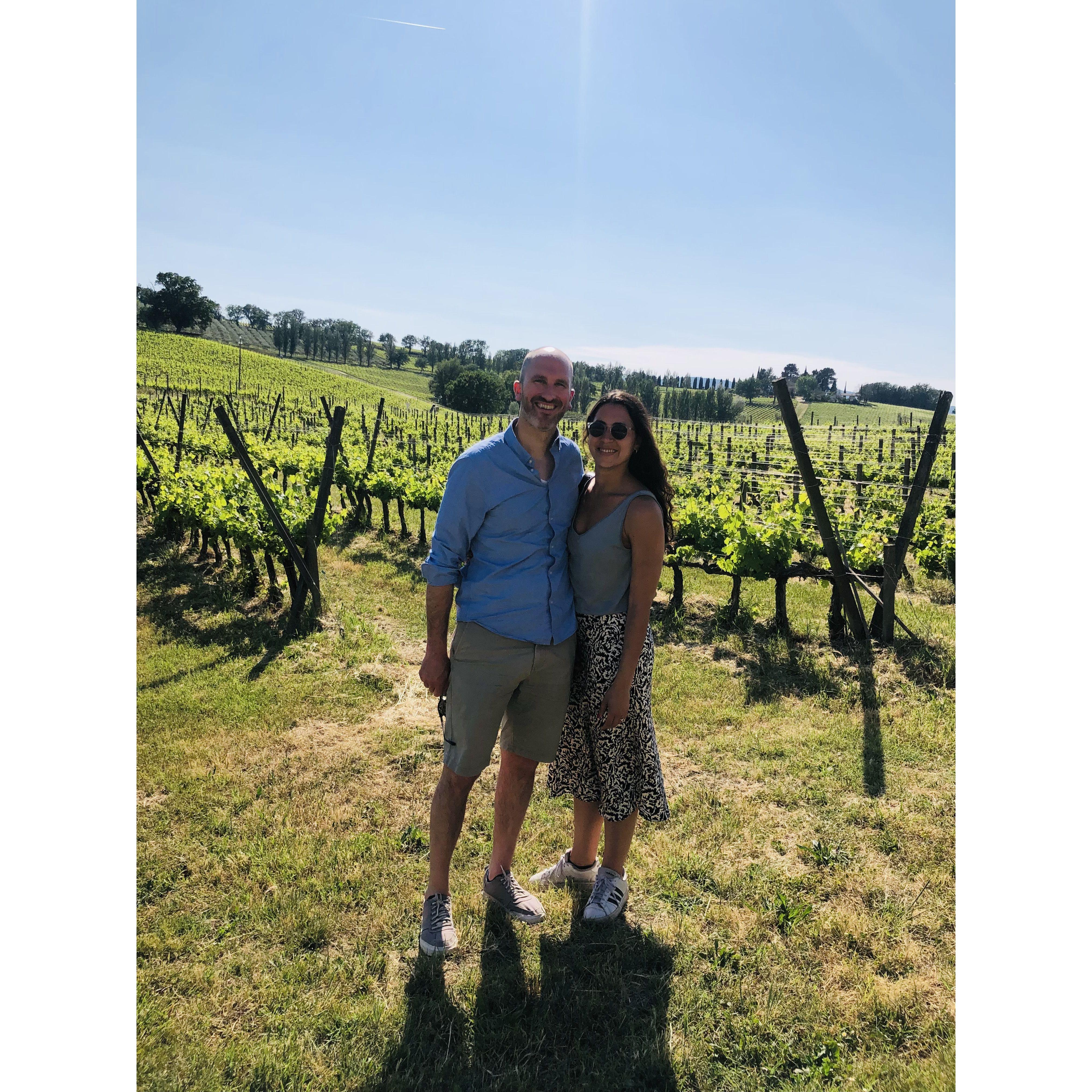 A tasting and vineyard tour in Umbria