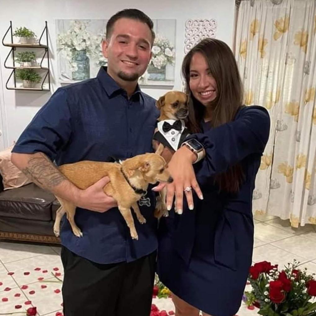 Proposal Day!