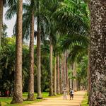 Jardim Botânico