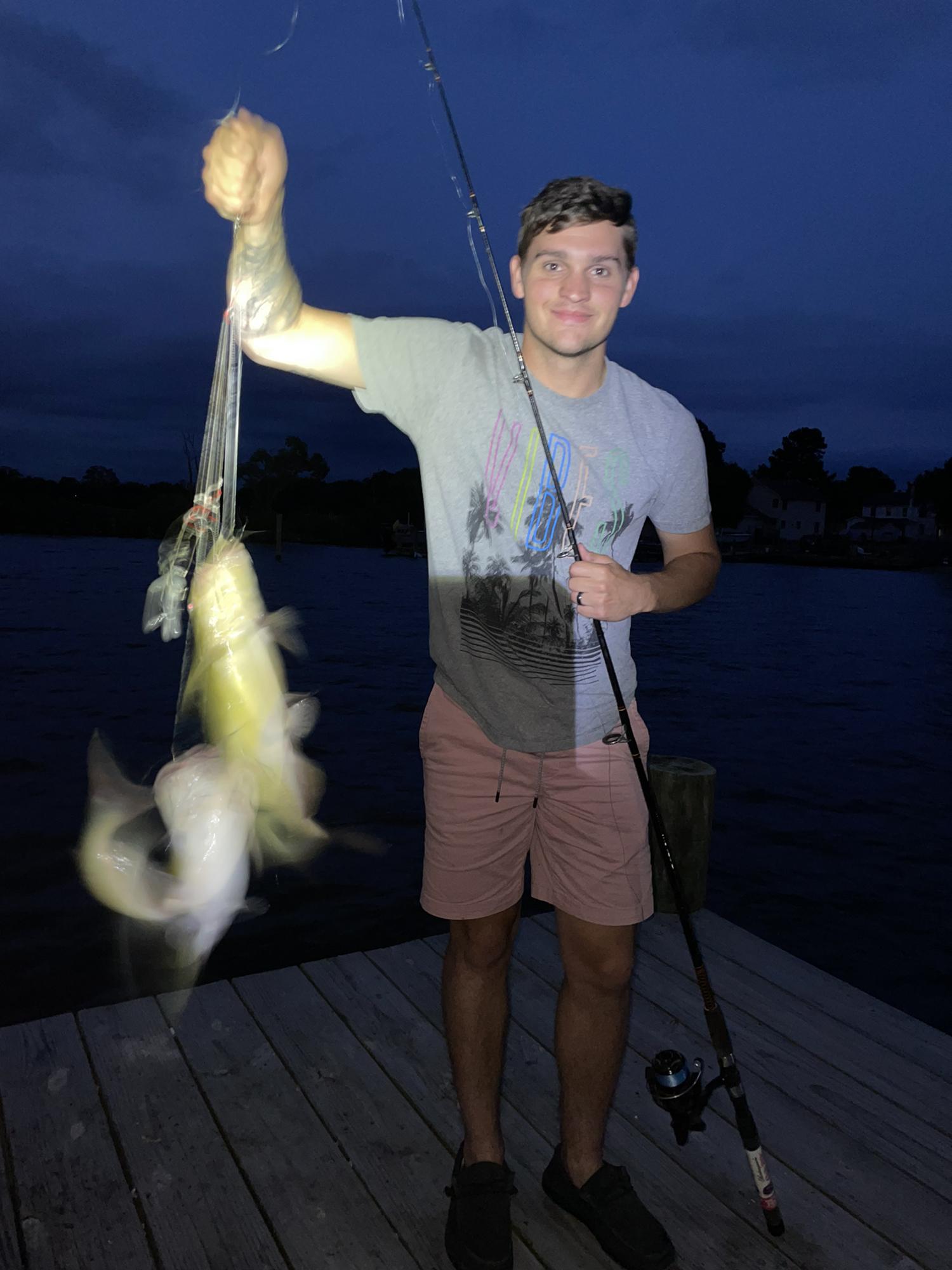 Catfishy twofer