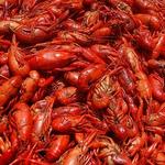Keith's Seafood