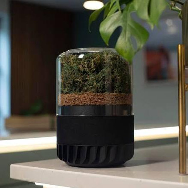 The Briiv Natural Air Filter