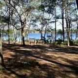 Fred Gannon Rocky Bayou State Park