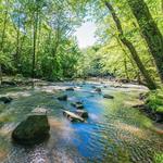 Umstead Park Lake