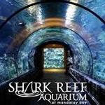 Shark Reef Aquarium at Mandalay Bay