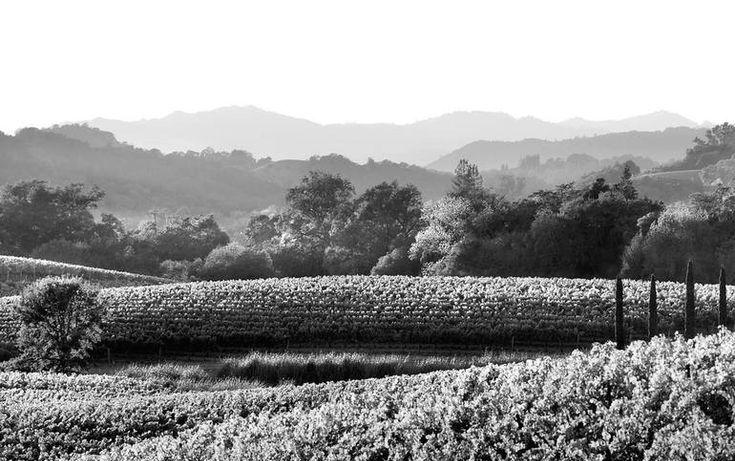 The Wedding Website of Camille Sutton and Hunter Patrick