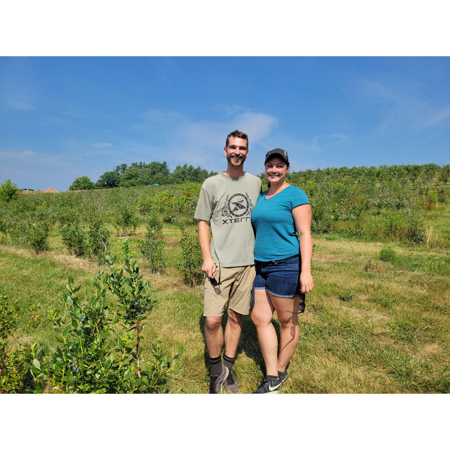 Berry Farm