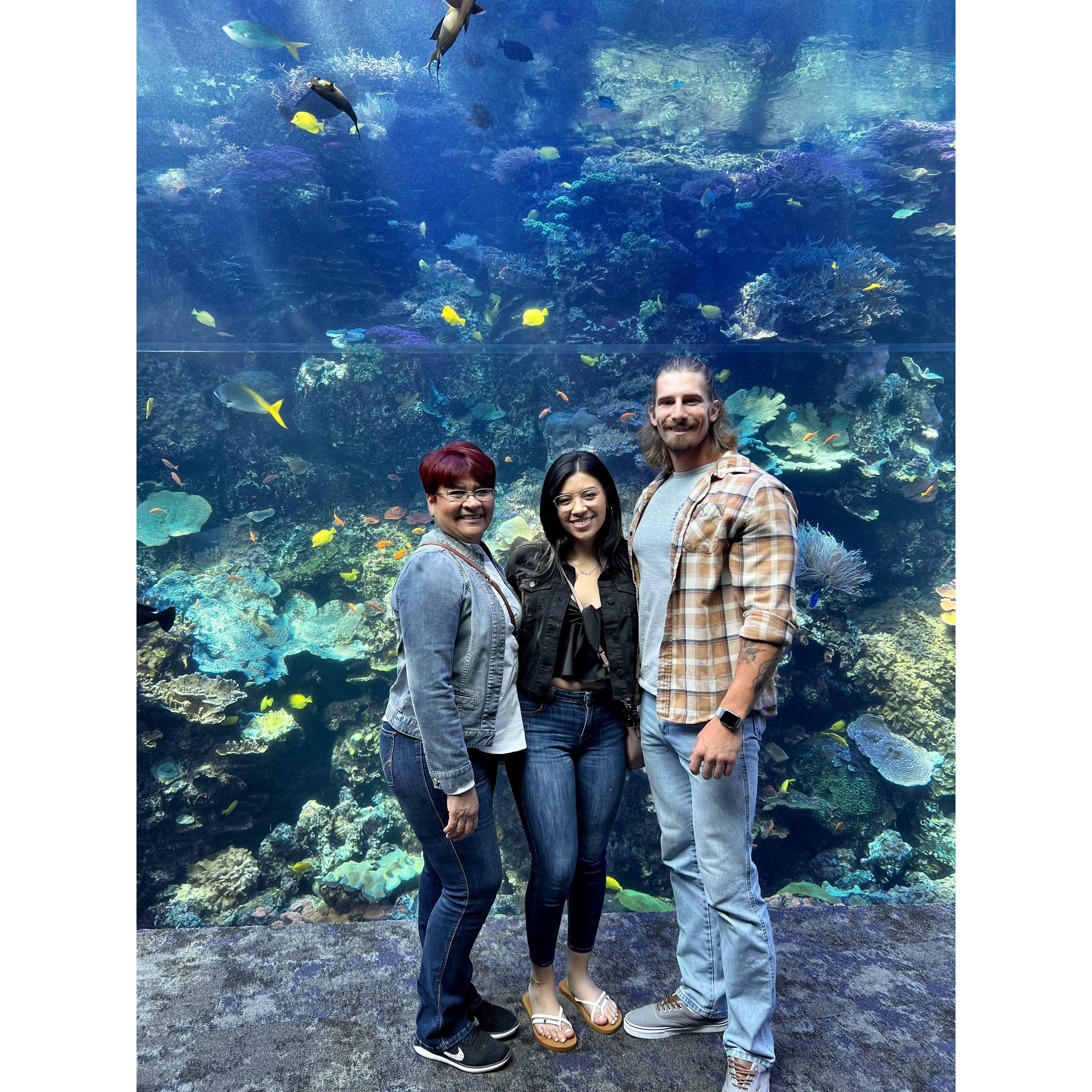 Brides mom first time in GA, at the aquarium