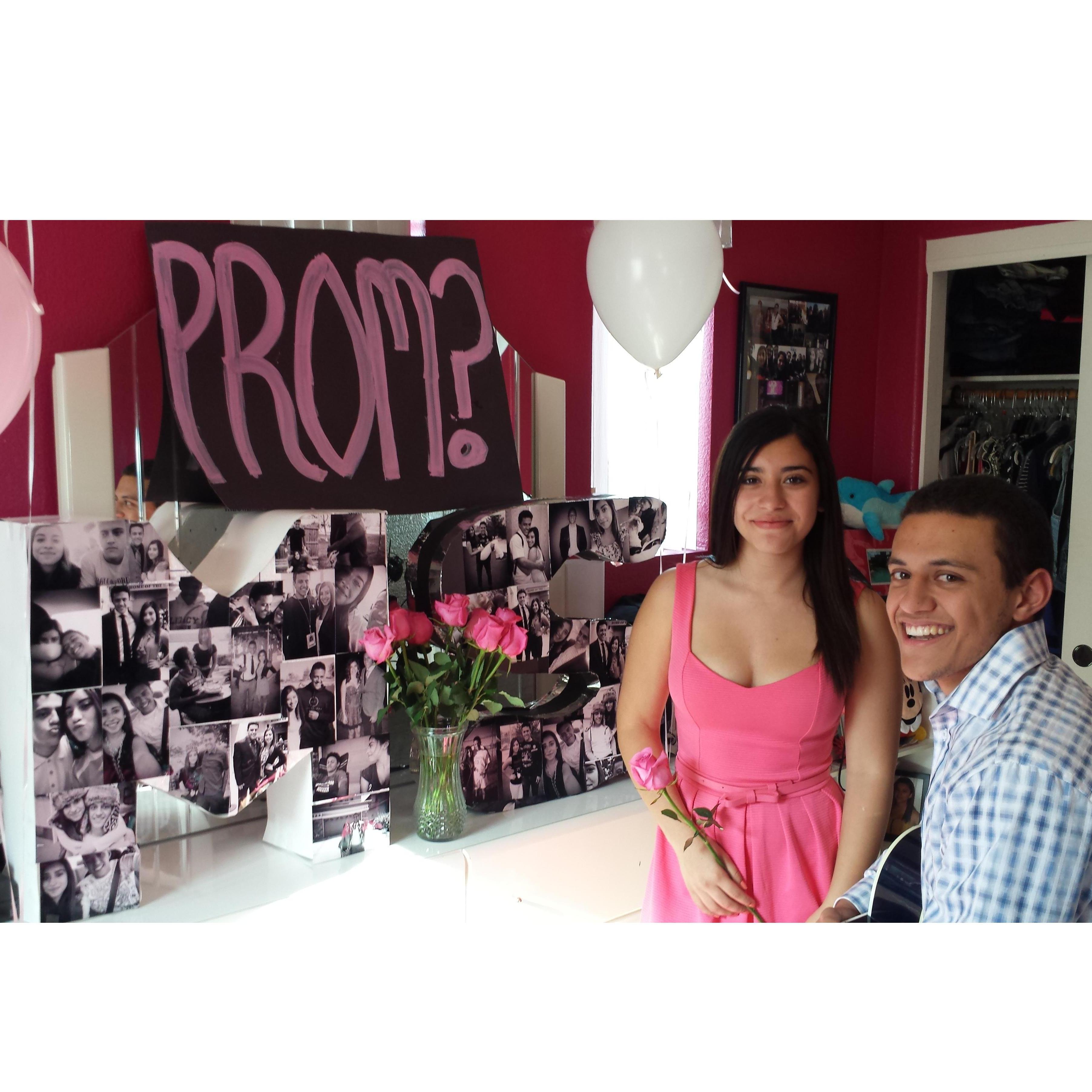 Skyler's Prom proposal