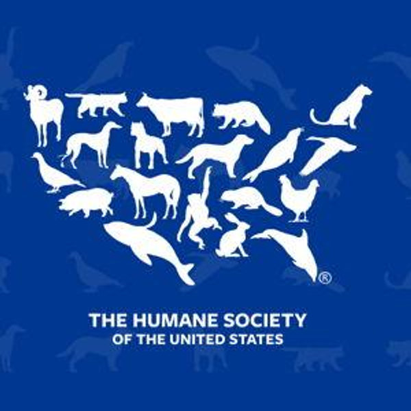 Donation to Animal Shelter