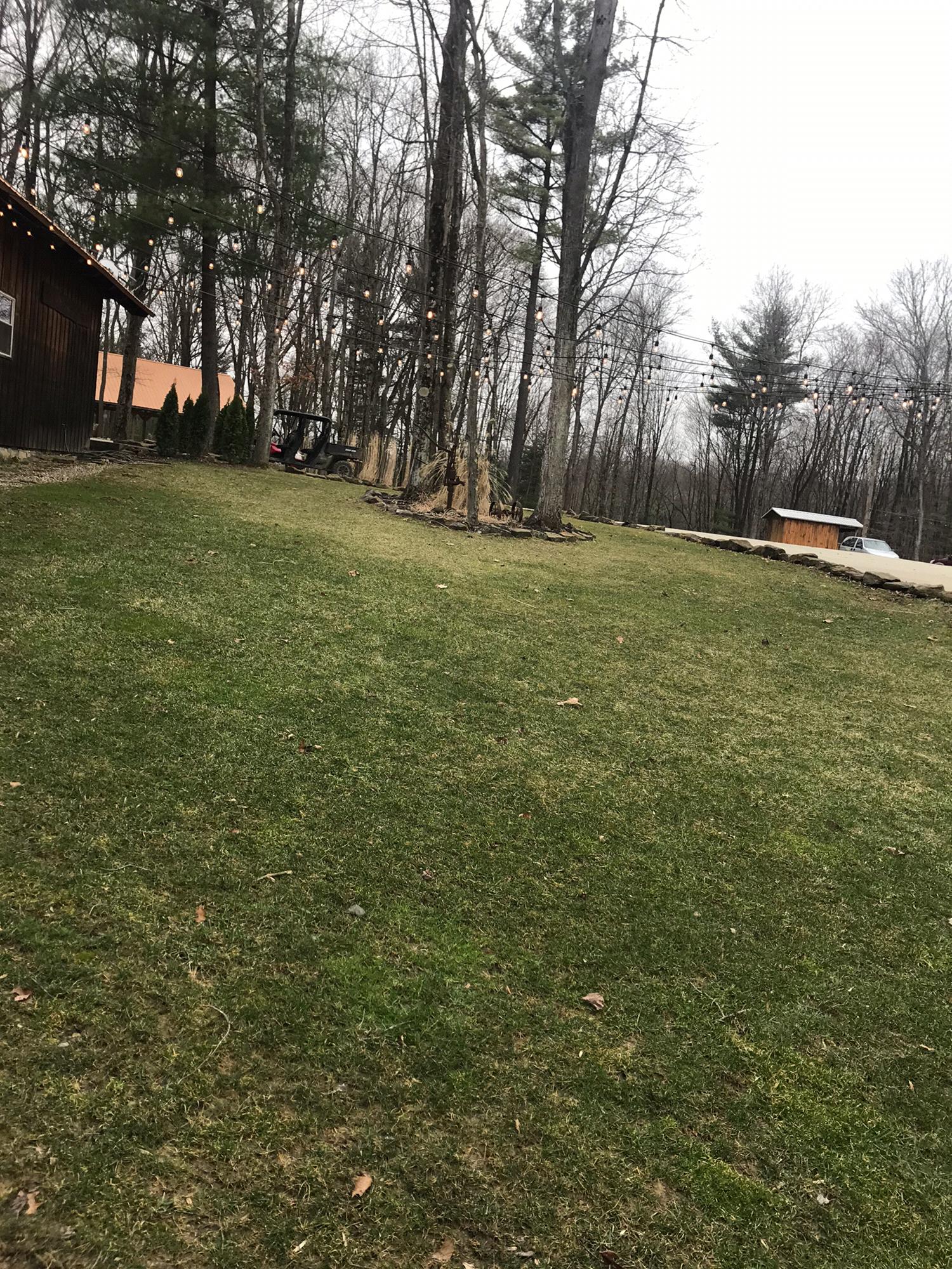 Lawn area with lights to set up lawn games