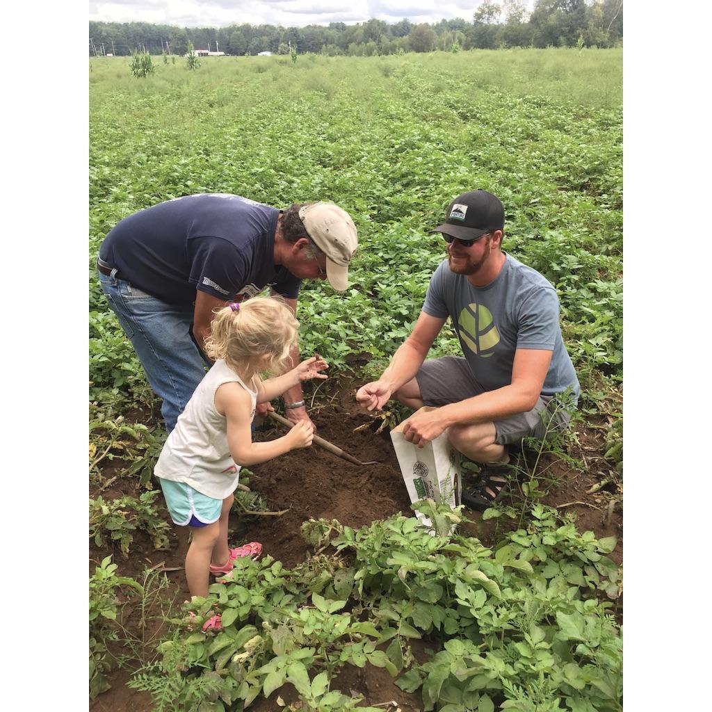 Poppa and Adam teaching August how to dig up potatoes.