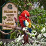 Sarasota Jungle Gardens