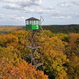 Cook Forest State Park