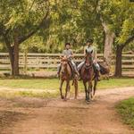 Paseos a caballo sin límite