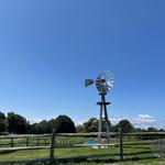 Tendercrop Farm