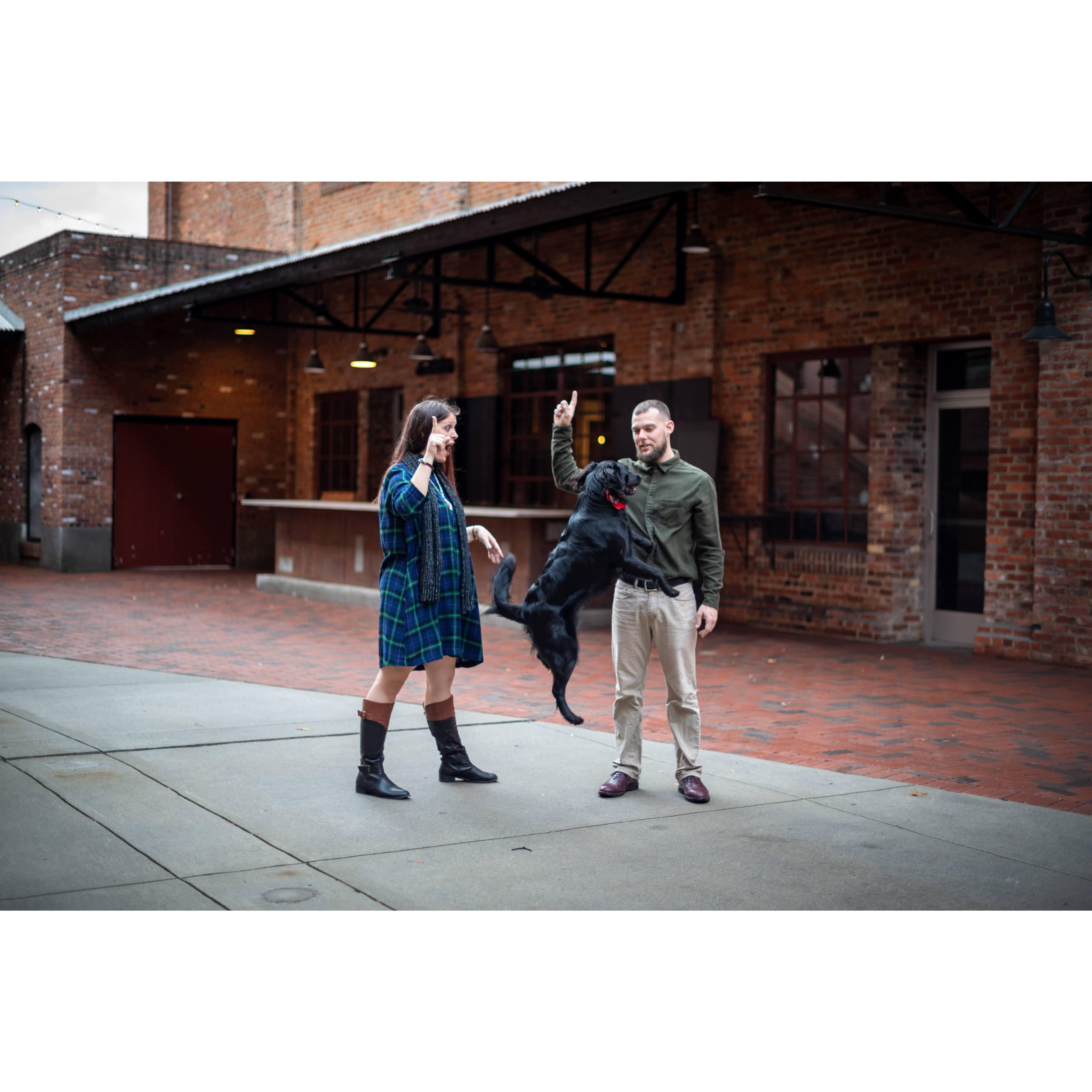 First professional pictures 2021 - Xena steals the show!