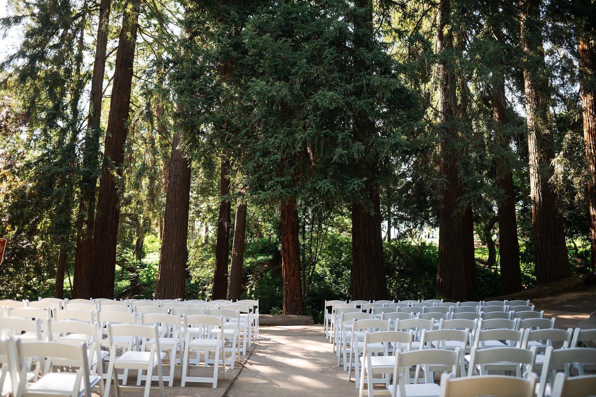 The Wedding Website of McNeilly Fieweger and Jack Walsh