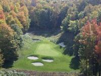 Treetops Resort