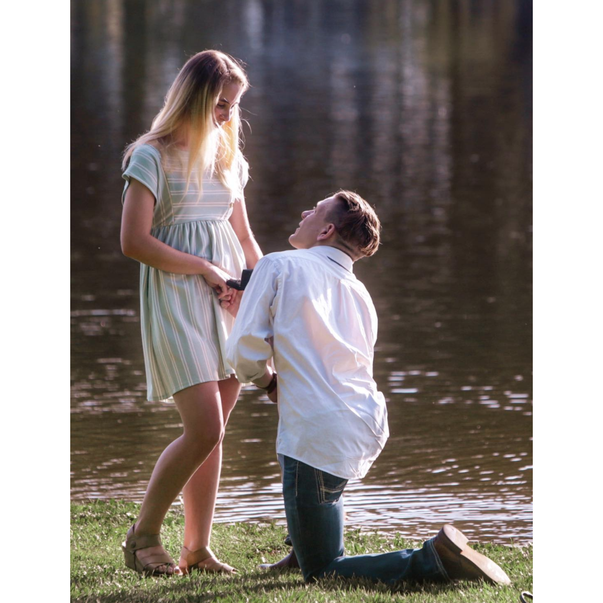 The proposal!