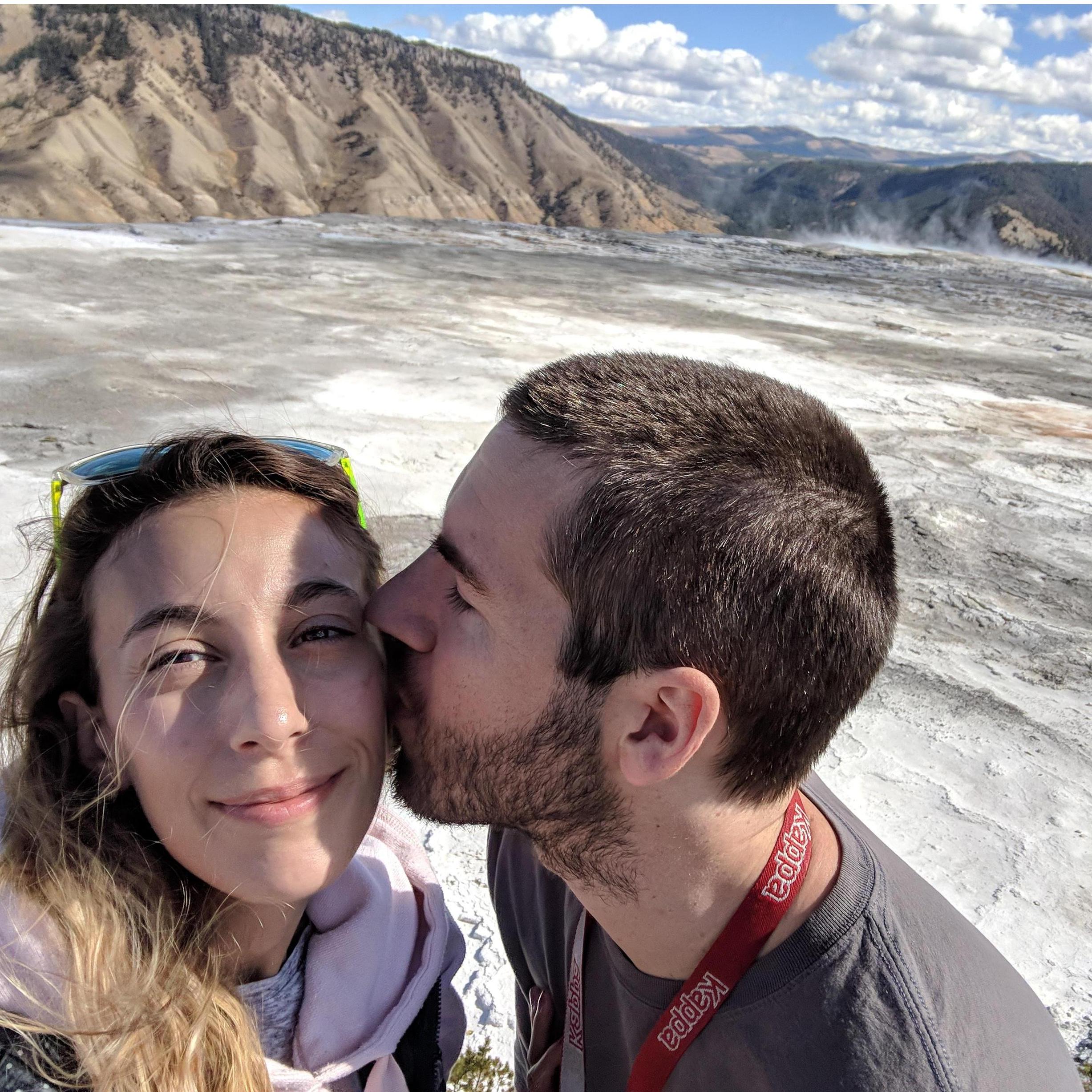 Yellowstone National Park near Norris Geyser Basin.
