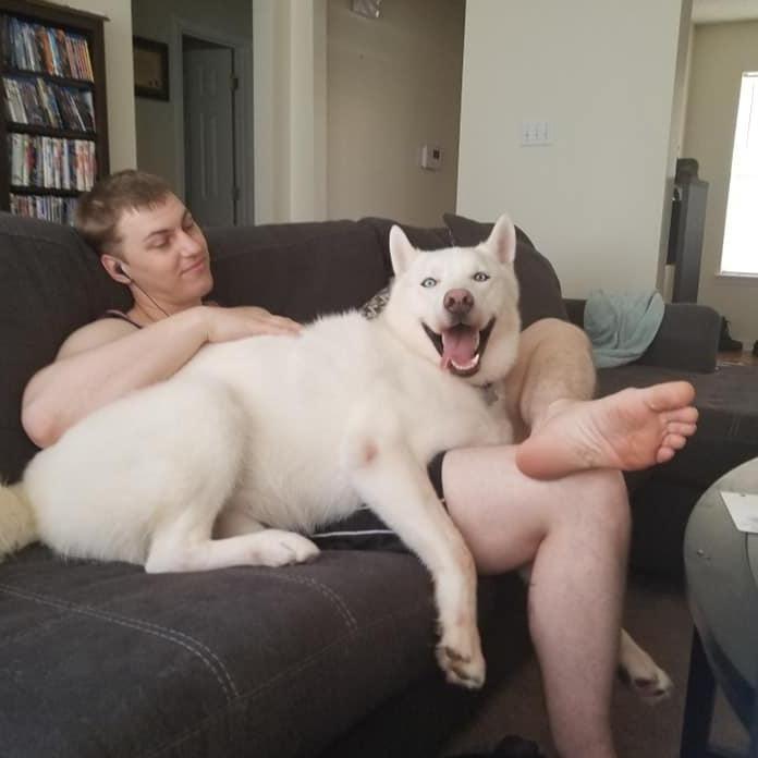 Our silly Floof - Oliver, adopted December 16, 2017