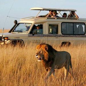 South Africa Safari