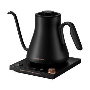 Electric Gooseneck Kettle