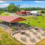 Bald Top Brewing Co.