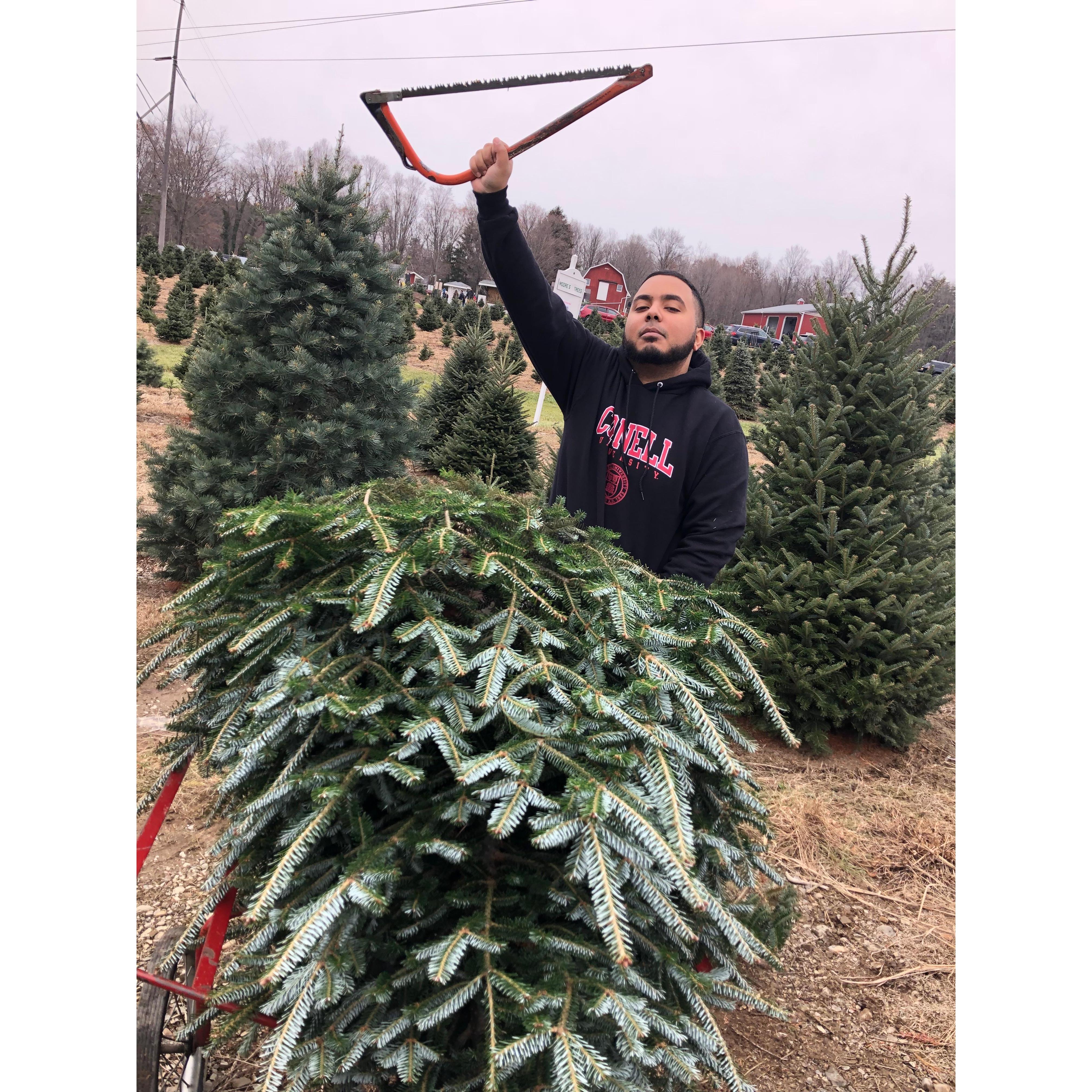 December 2017. Cameron wanted to make sure that Vanessa had a great Christmas, since it was the first Christmas her parents were in DR. So he cut down a tree for her.