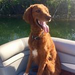 Rent a Pontoon boat and explore the Cumberland River