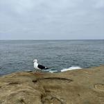 Sunset Cliffs