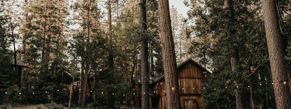 The Wedding Website of Libby Morain and Grayson Sandy