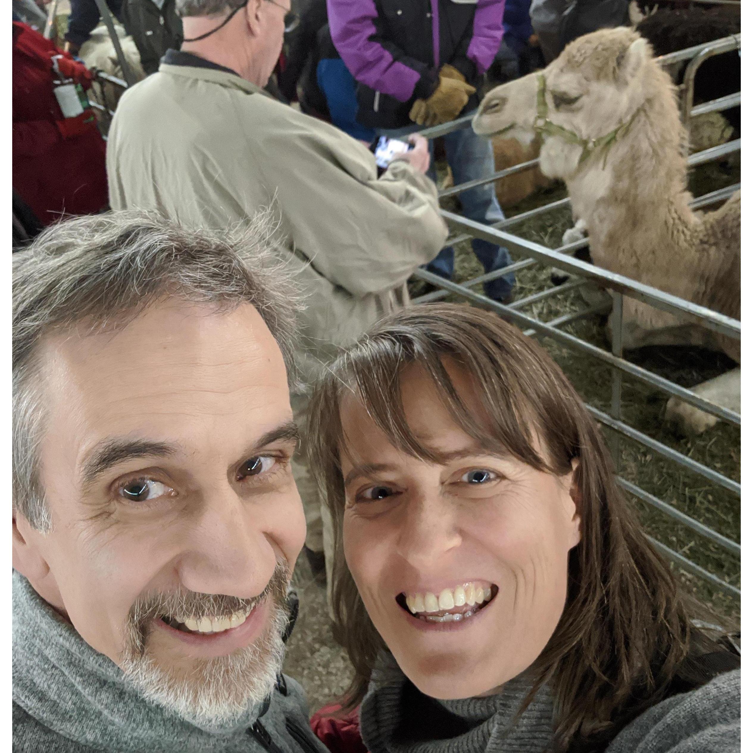 Our One Year Anniversary and obligatory photo with the camel!