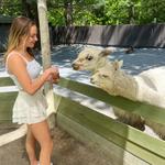 Catoctin Wildlife Preserve