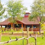 Mountain View Vineyard, Winery, Brewery & Distillery