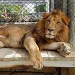 Octagon Wildlife Sanctuary
