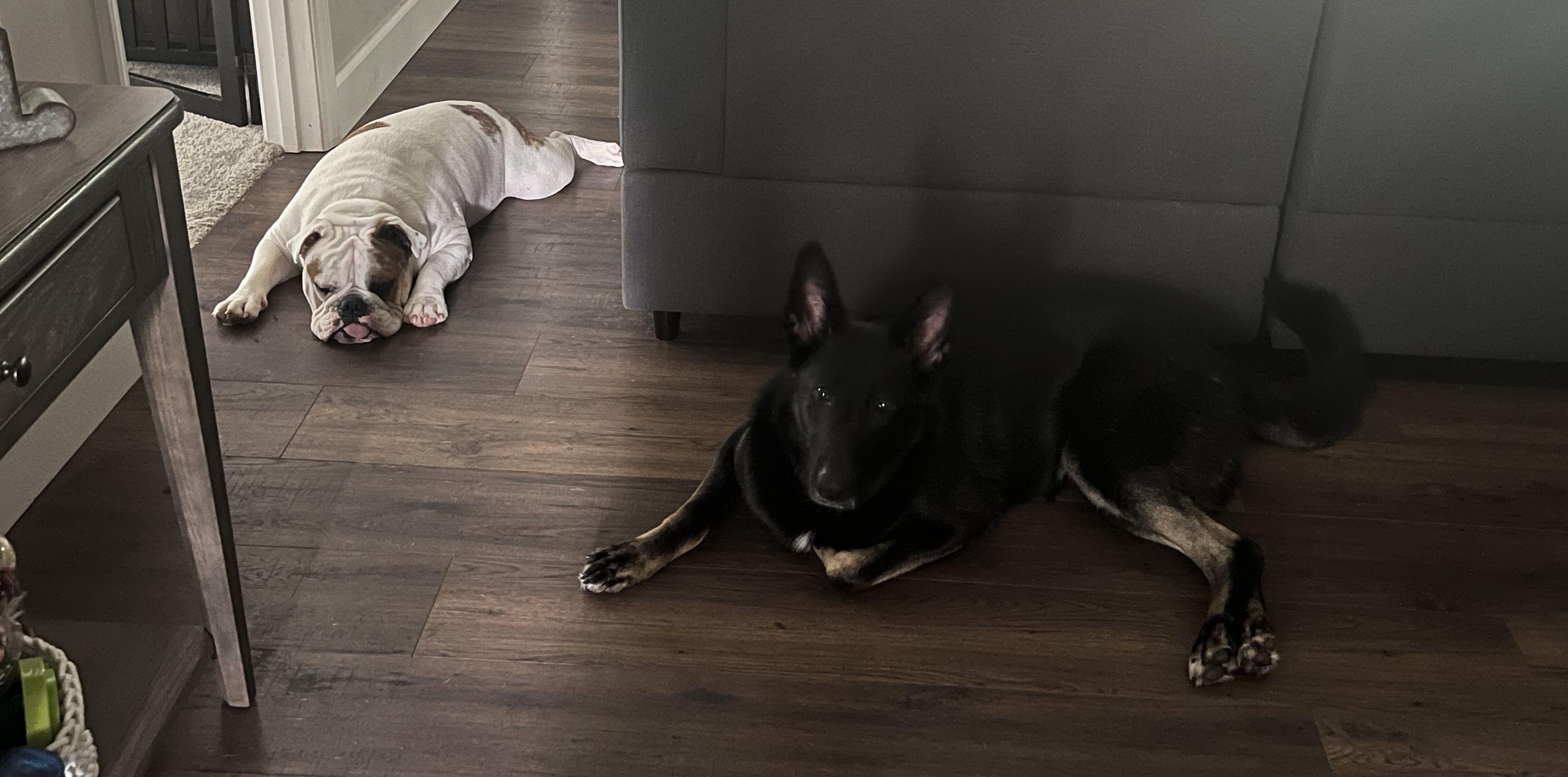 The Wedding Website of Kathryn Lloyd and Dylan Adkins