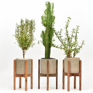Mid Century Modern Plant Stand with Cement Pot, Indoor Plant Stand with Concrete Pot, Modern Planter Stand with  Cement Pot