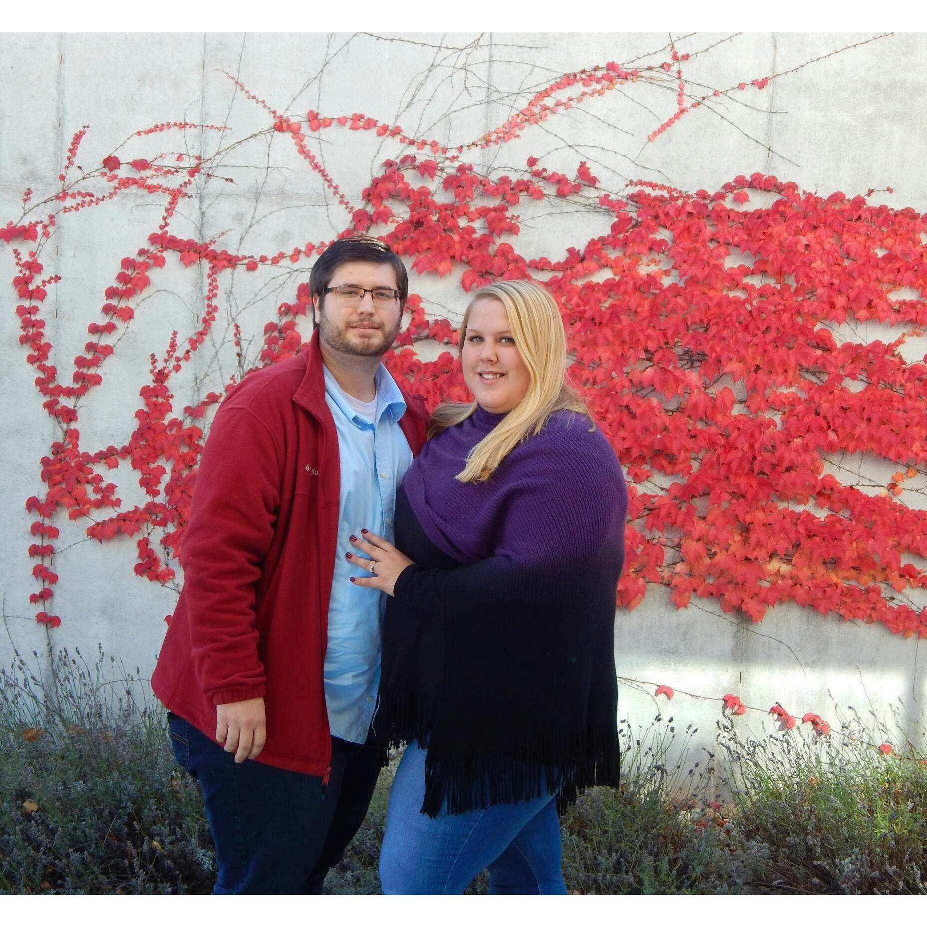 Proposal @ Brengman Brother's Winery! 11.6.2016