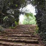 Entebbe Botanical Gardens